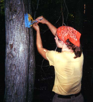 woman painting blue blaze