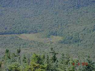 Beaver Meadow view from above